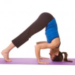 yin yoga instructor certification intensive